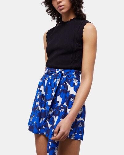 , BLUE, hi-res image number null