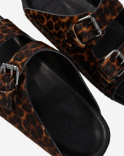 , LEOPARD, hi-res image number null