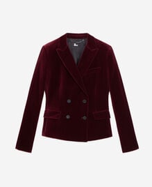 , BURGUNDY, hi-res image number null