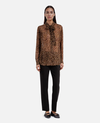 , LEOPARD, hi-res image number null