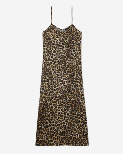 , LEOPARD, hi-res image number null