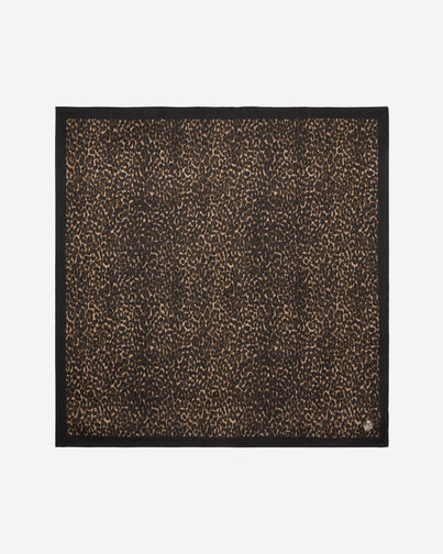 , LEOPARD, hi-res image number null