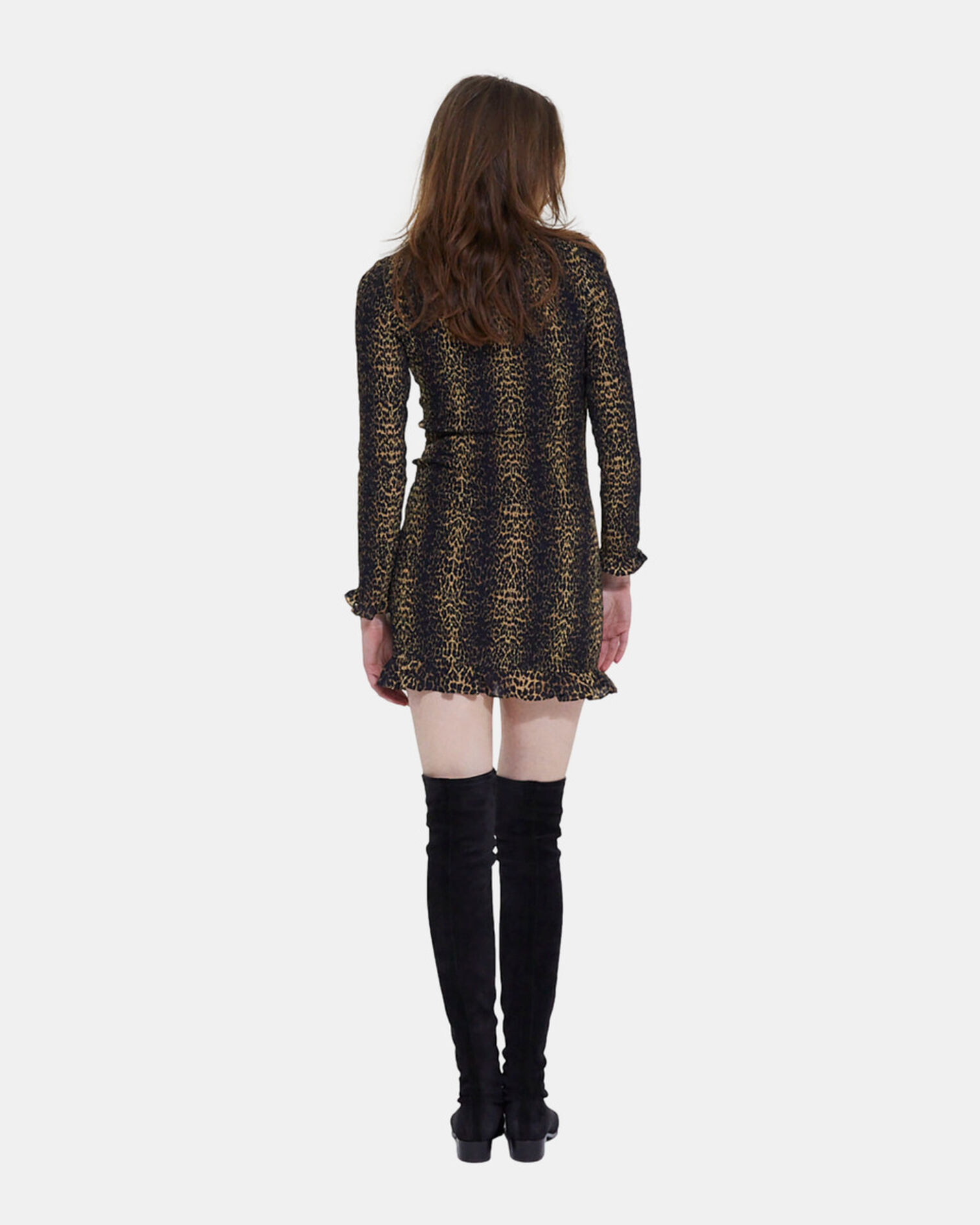 , LEOPARD, hi-res image number null