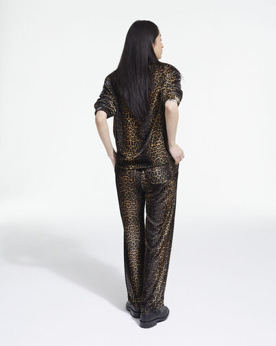 , LEOPARD, hi-res image number null