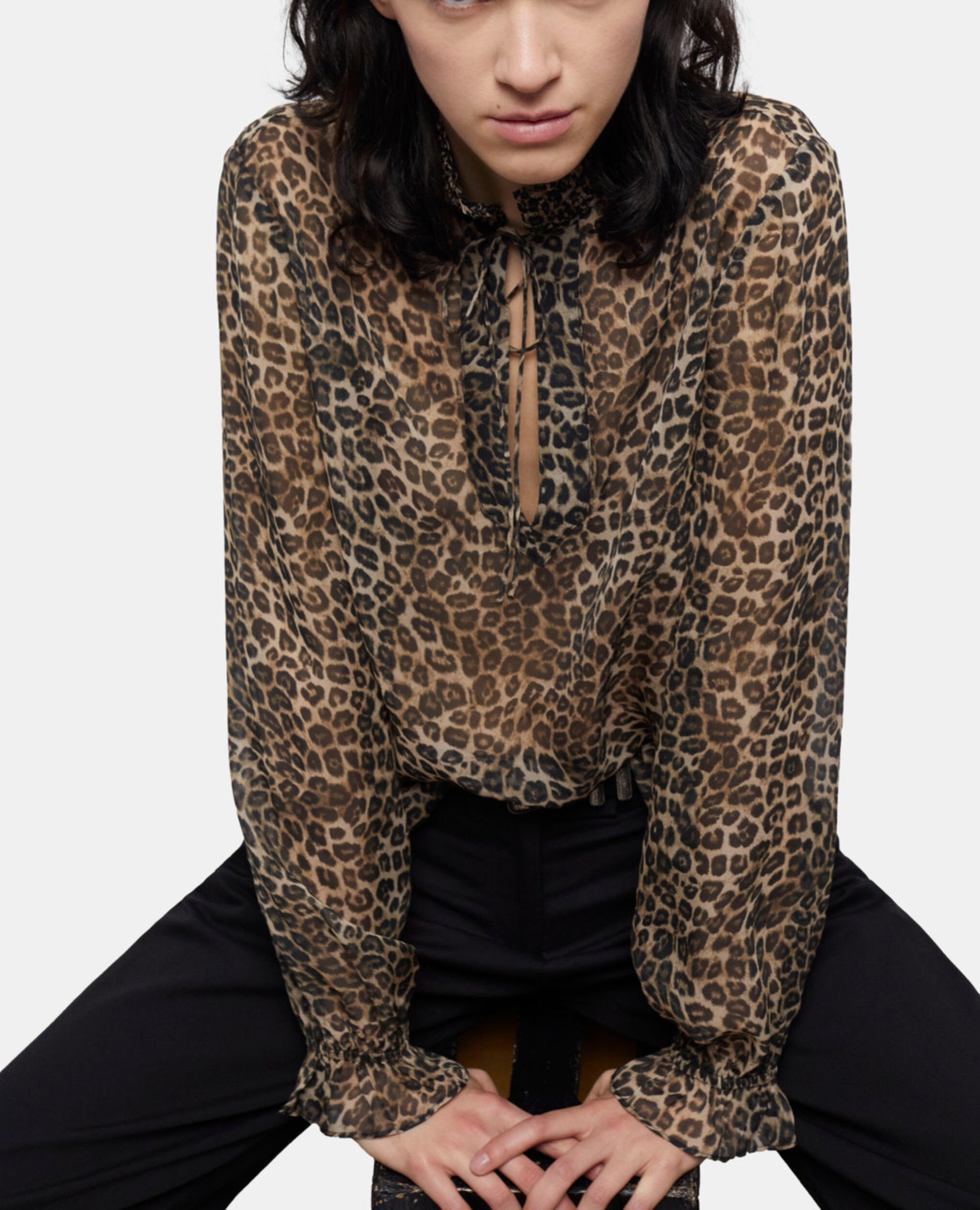 , LEOPARD, hi-res image number null