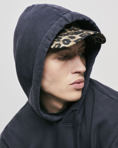 , LEOPARD, hi-res image number null
