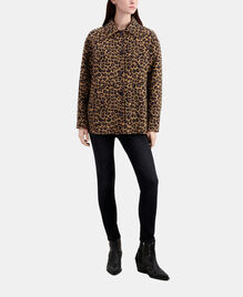, LEOPARD, hi-res image number null