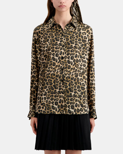 , LEOPARD, hi-res image number null