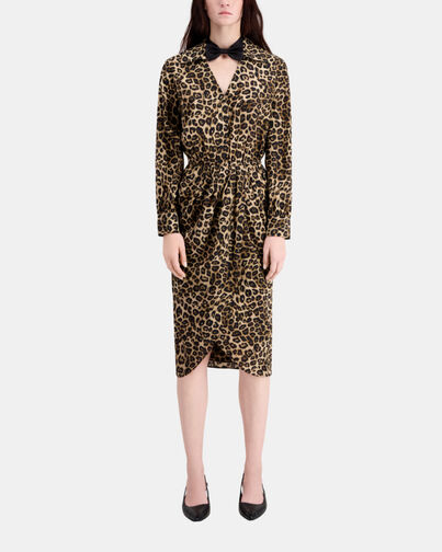 , LEOPARD, hi-res image number null
