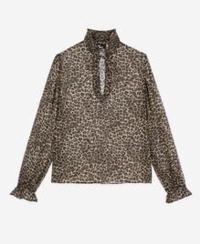 , LEOPARD, hi-res image number null