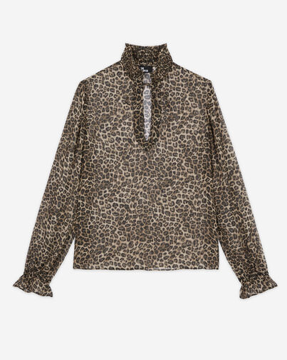 , LEOPARD, hi-res image number null
