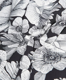 , BLACK WHITE, hi-res image number null