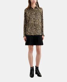 , LEOPARD, hi-res image number null