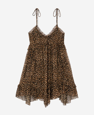 , LEOPARD, hi-res image number null