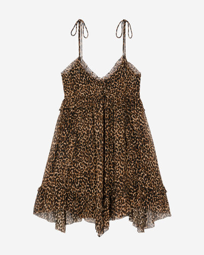 , LEOPARD, hi-res image number null