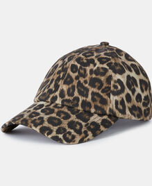 , LEOPARD, hi-res image number null