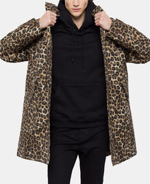 , LEOPARD, hi-res image number null
