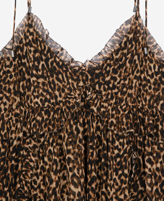 , LEOPARD, hi-res image number null