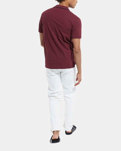 , BURGUNDY, hi-res image number null