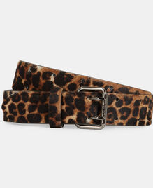 , LEOPARD, hi-res image number null