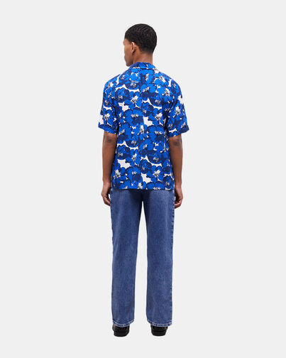 , BLUE, hi-res image number null