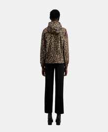 , LEOPARD, hi-res image number null