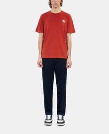 , RED BRIQUE, hi-res image number null