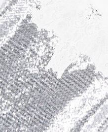 , SILVER, hi-res image number null