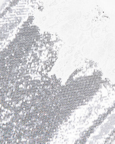 , SILVER, hi-res image number null