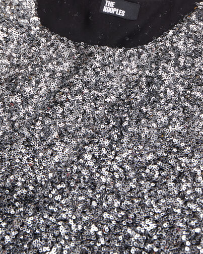 , SILVER, hi-res image number null