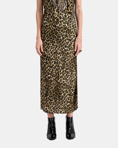 , LEOPARD, hi-res image number null