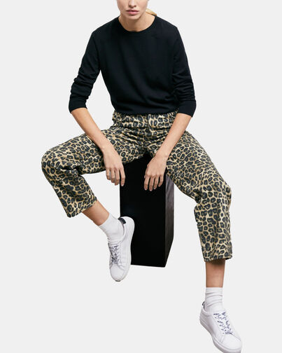 , LEOPARD, hi-res image number null
