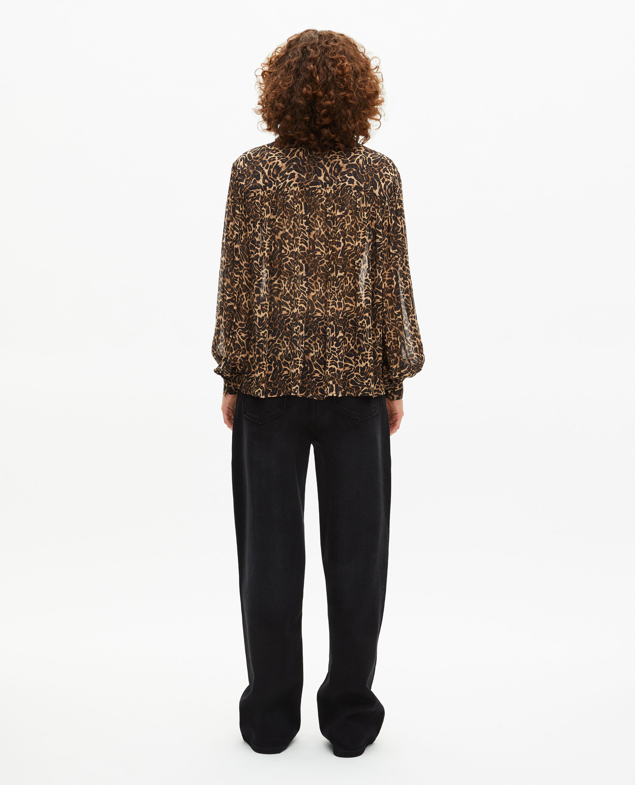 , LEOPARD, hi-res image number null