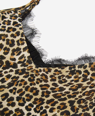 , LEOPARD, hi-res image number null