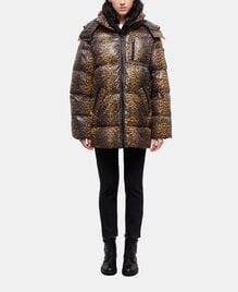 , LEOPARD, hi-res image number null