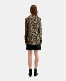 , LEOPARD, hi-res image number null