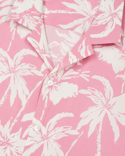 , PINK-WHITE, hi-res image number null