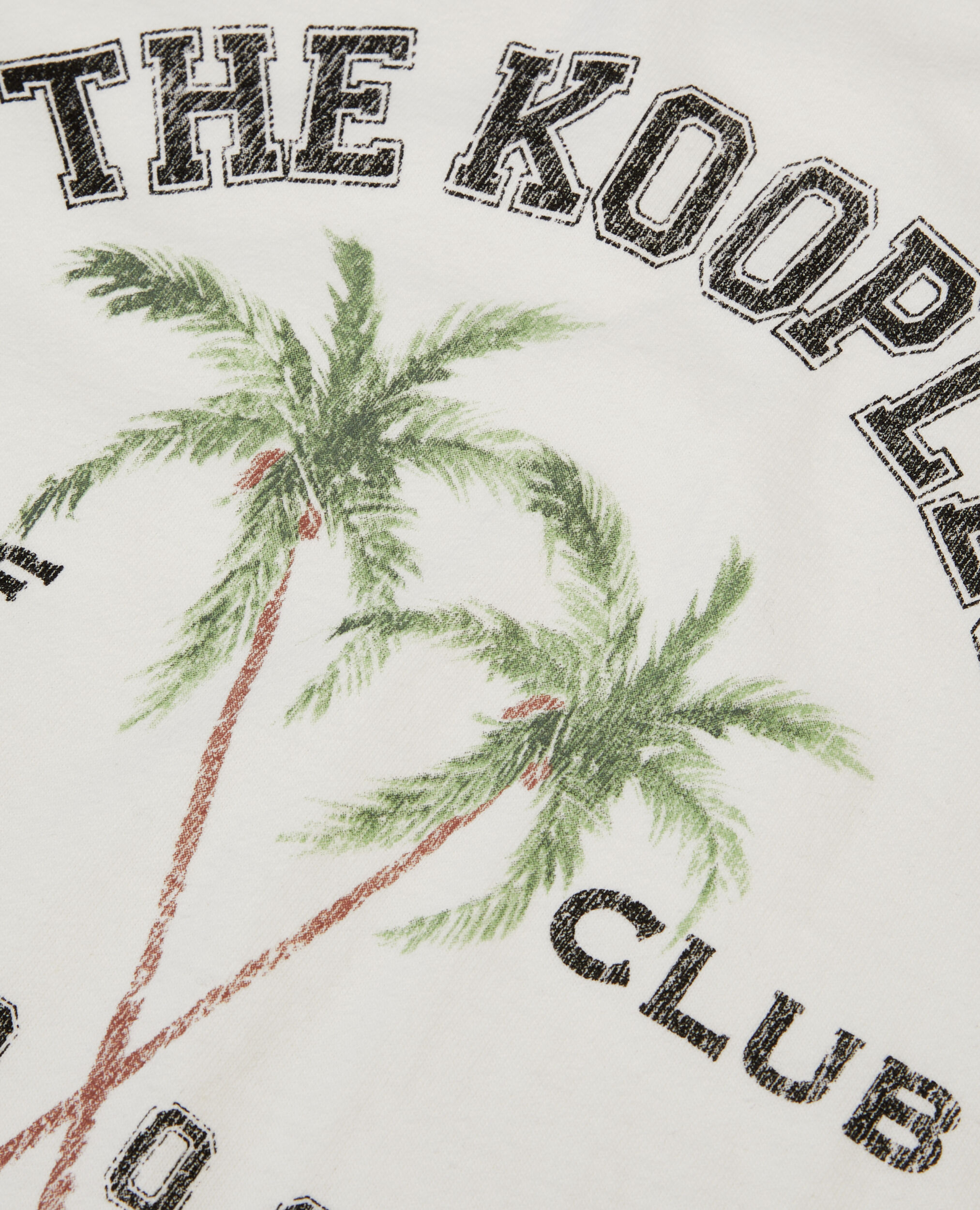 Ecrufarbenes T-Shirt mit Surf-Club-Siebdruck, ECRU, hi-res image number null