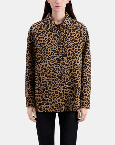 , LEOPARD, hi-res image number null