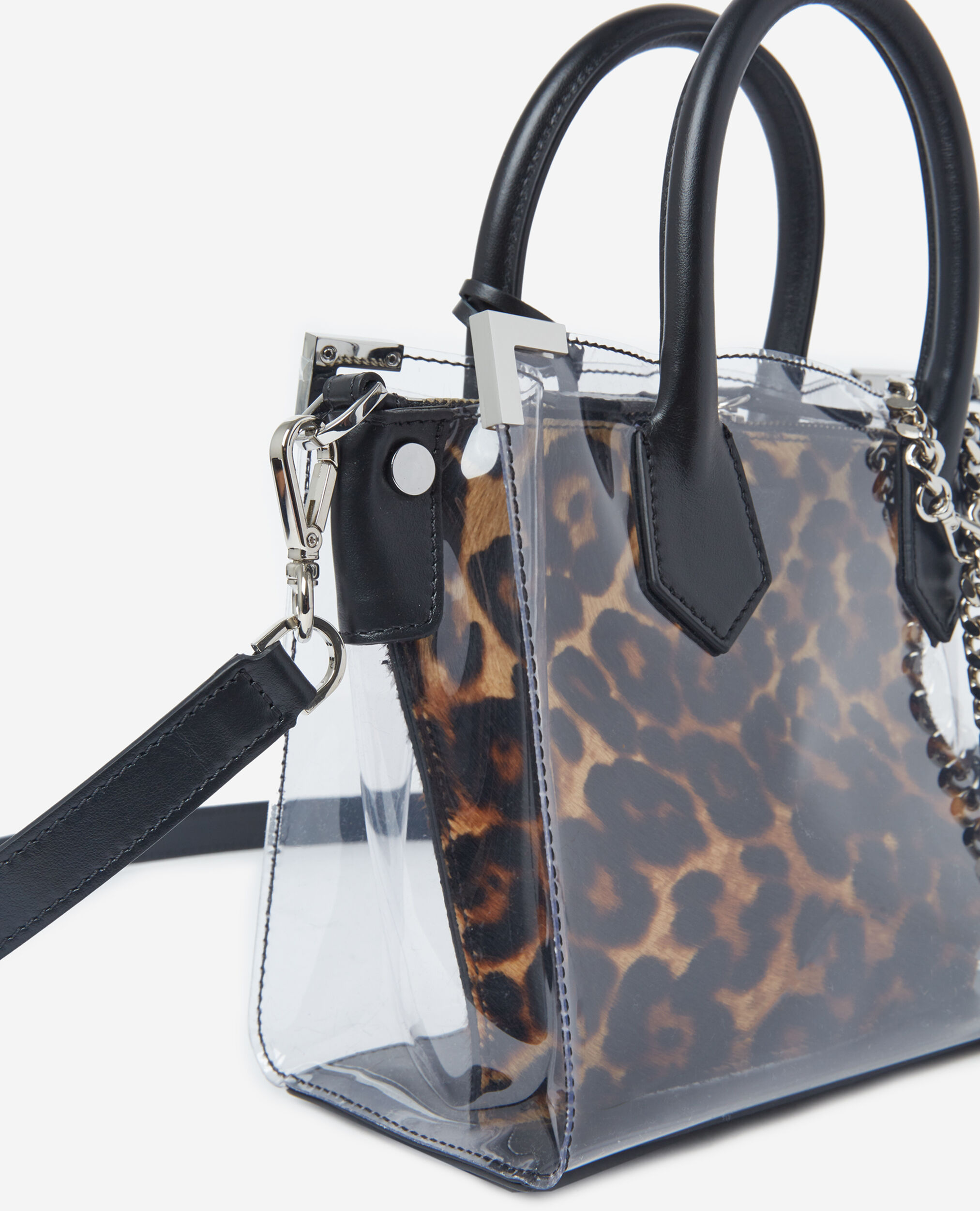 , LEOPARD, hi-res image number null