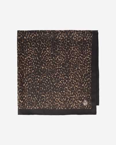 , LEOPARD, hi-res image number null