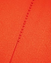 , ORANGE RED, hi-res image number null