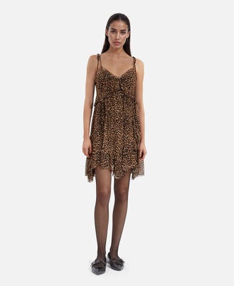 , LEOPARD, hi-res image number null