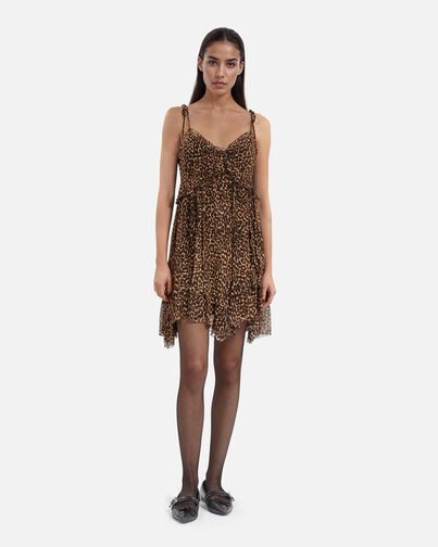 , LEOPARD, hi-res image number null