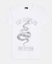 , WHITE, hi-res image number null