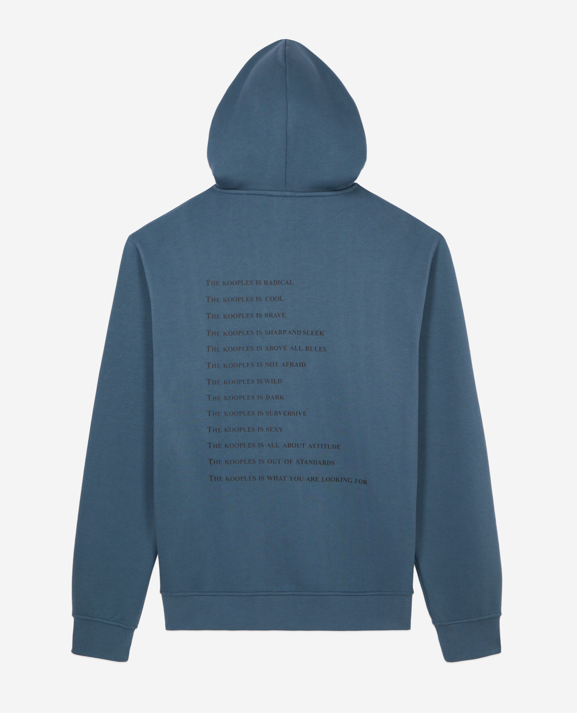 Sweatshirt à capuche What is bleu profond, BLUE PETROL, hi-res image number null