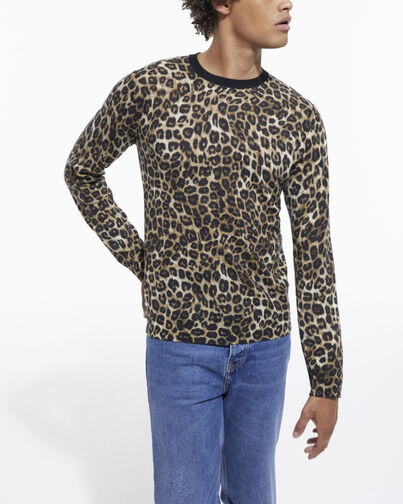 , LEOPARD, hi-res image number null