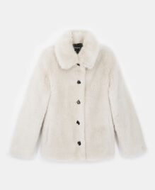 , WHITE, hi-res image number null