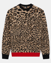 , LEOPARD, hi-res image number null
