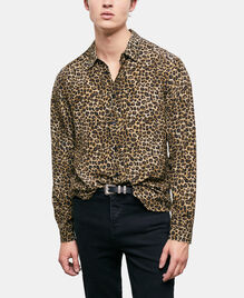 , LEOPARD, hi-res image number null
